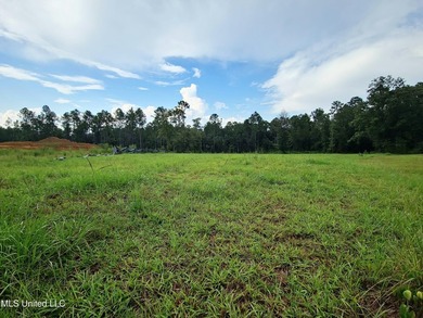 LUXURIOUS 1.4 Acre CLEARED LOT in Prestigious Florence Gardens - photo 4