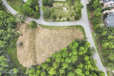 LUXURIOUS 1.4 Acre CLEARED LOT in Prestigious Florence Gardens - photo 5