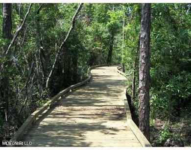 LUXURIOUS 1.4 Acre CLEARED LOT in Prestigious Florence Gardens - photo 9