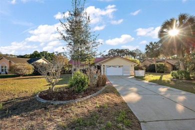 Lake Home Sale Pending in Leesburg, Florida