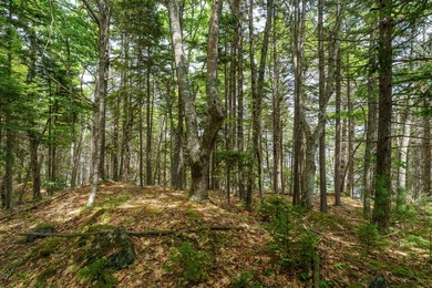 This 3.47 acre waterfront building lot offers a rare opportunity - photo 11