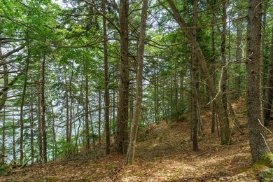 This 3.47 acre waterfront building lot offers a rare opportunity - photo 13