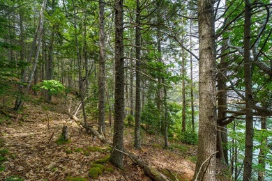 This 3.47 acre waterfront building lot offers a rare opportunity - photo 15