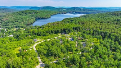 Long Lake - Cumberland County Lot For Sale in Harrison Maine