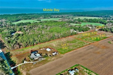 Wow! BRAND NEW SUBDIVISION: The Meadow at Fairhope. An - photo 2