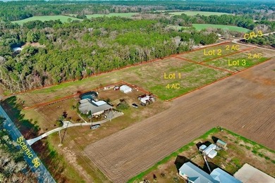 Wow! BRAND NEW SUBDIVISION: The Meadow at Fairhope. An - photo 4