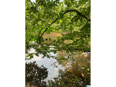 (private lake, pond, coastal) Acreage For Sale in Calera Alabama