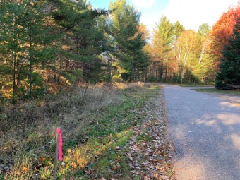 Wooded Building Site on Pond - Lake Lot For Sale in Minocqua, Wisconsin