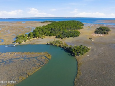A truly extraordinary offering, this 460-acre private island - photo 1