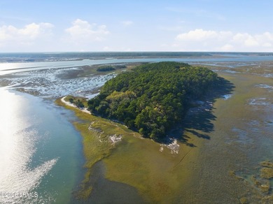 A truly extraordinary offering, this 460-acre private island - photo 5