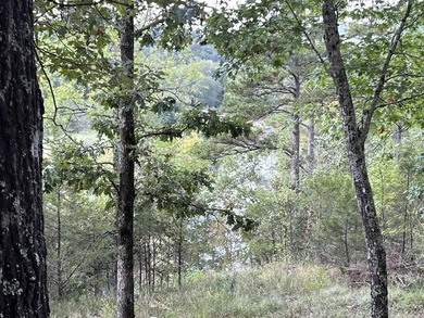 Nestled on 20 beautiful wooded acres, this 3-bedroom, 2-bath - photo 27