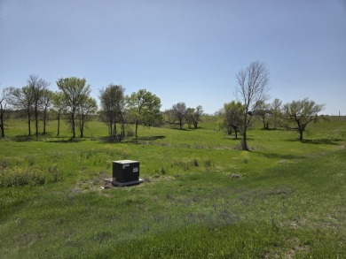 Double lots with Peek a boo lake views on Lake Halbert - photo 22