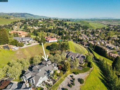 Location Location Location! Gorgeous Views!! Beautiful Blackhawk - photo 50