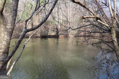 (private lake, pond, creek) Lot For Sale in Ellijay Georgia