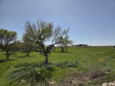 Double lots with Peek a boo lake views on Lake Halbert - photo 25