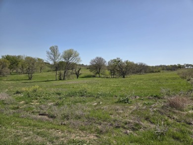 Double lots with Peek a boo lake views on Lake Halbert - photo 27