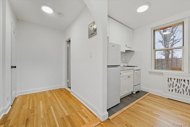 Step into style and comfort in this beautifully renovated studio - photo 7