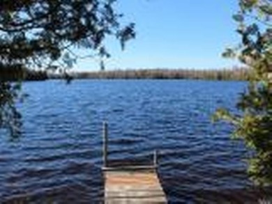 Murphy Lake Acreage For Sale in Presque Isle Wisconsin