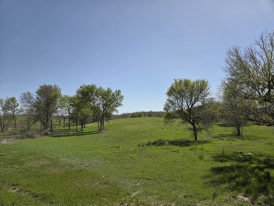 Double lots with Peek a boo lake views on Lake Halbert - photo 24