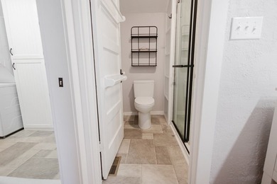 Step into this completely remodeled 1900 home in the heart of - photo 35