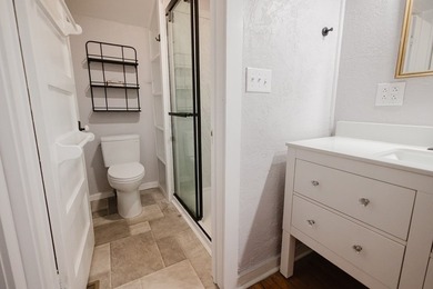 Step into this completely remodeled 1900 home in the heart of - photo 36