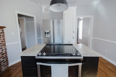 Step into this completely remodeled 1900 home in the heart of - photo 46