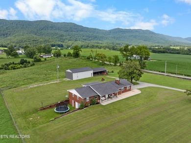 Check out this truly unique property located on nearly 4 flat - photo 48