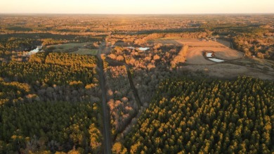 Lake Acreage For Sale in Georgiana, Alabama