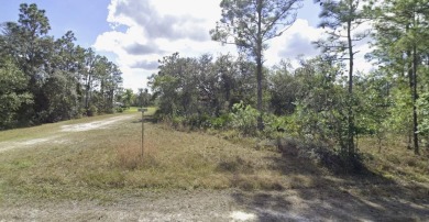 Lake Lot For Sale in Indian Lake Estates, Florida
