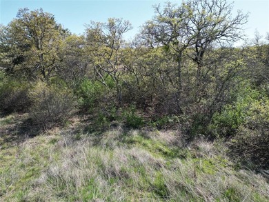 Lake Cisco Lot For Sale in Cisco Texas