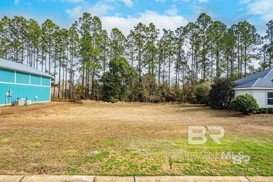 Welcome to Reunion Pointe! An RV Port Home Community located in - photo 6