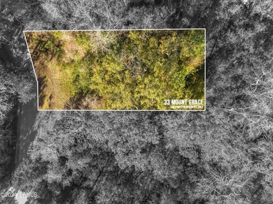 BUILD YOUR 2026 DREAM IN HABERSHAM. This premium .16-acre - photo 1