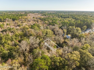 BUILD YOUR 2026 DREAM IN HABERSHAM. This premium .16-acre - photo 10