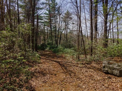 Set on approximately 5 acres in one of Temple's most picturesque - photo 3