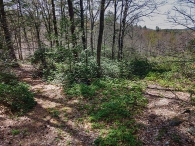 Set on approximately 5 acres in one of Temple's most picturesque - photo 6