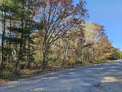 Indian Lake - Gladwin County Lot For Sale in Gladwin Michigan