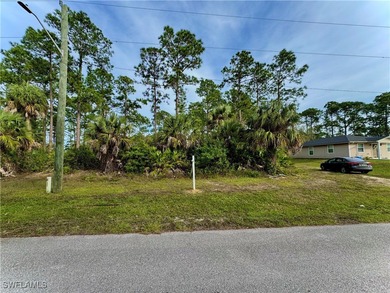Lehigh Acres Area Lot For Sale in Lehigh Acres Florida