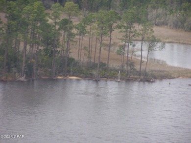 Zoning is 2 units per acre. This serene piece of pristine - photo 11