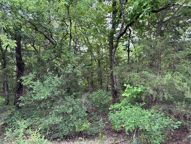 26.5 Acres - Hunting, Livestock, or Build Site If you've been - photo 11