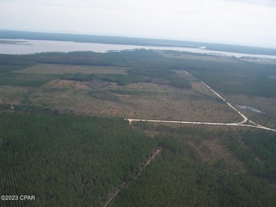 Zoning is 2 units per acre. This serene piece of pristine - photo 12