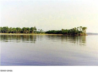 Zoning is 2 units per acre. This serene piece of pristine - photo 15