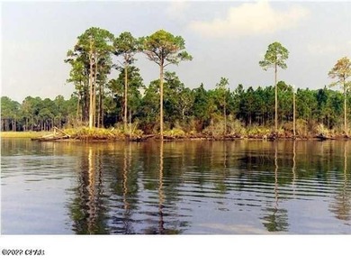 Zoning is 2 units per acre. This serene piece of pristine - photo 16