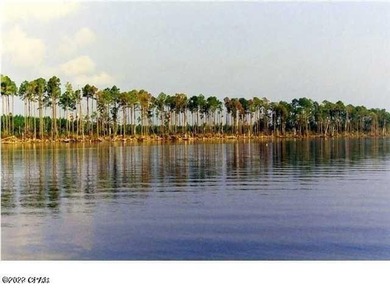Zoning is 2 units per acre. This serene piece of pristine - photo 17