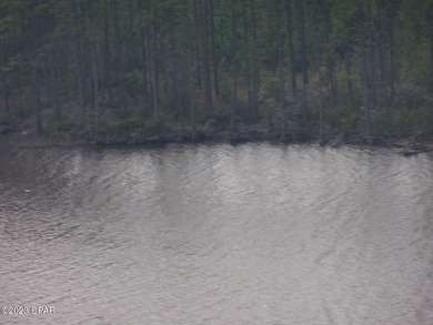Zoning is 2 units per acre. This serene piece of pristine - photo 19