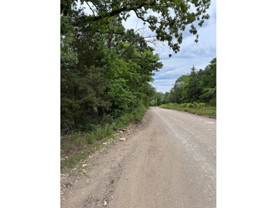 26.5 Acres - Hunting, Livestock, or Build Site If you've been - photo 19