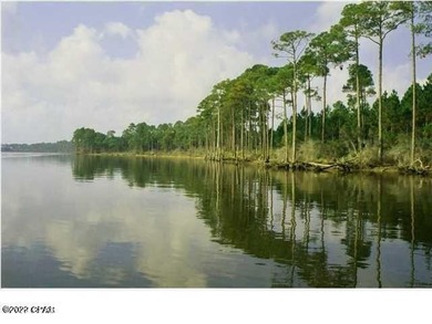 Zoning is 2 units per acre. This serene piece of pristine - photo 20