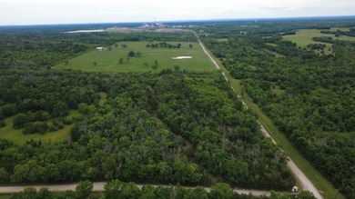 26.5 Acres - Hunting, Livestock, or Build Site If you've been - photo 20