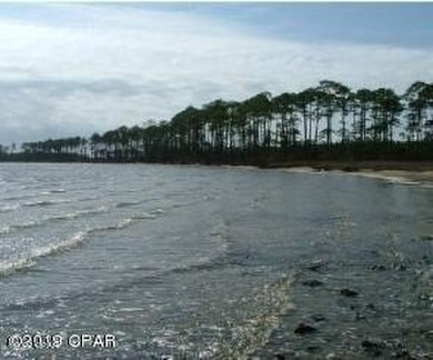 Zoning is 2 units per acre. This serene piece of pristine - photo 21