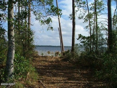 Zoning is 2 units per acre. This serene piece of pristine - photo 22