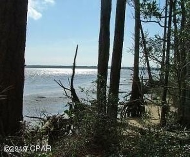 Zoning is 2 units per acre. This serene piece of pristine - photo 23